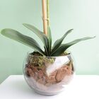 Arranjo De Orquídea Artificial Rosa No Vaso Vidro M | Formosi